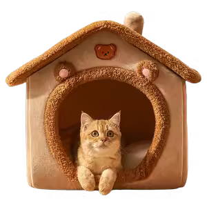 Cat Furniture