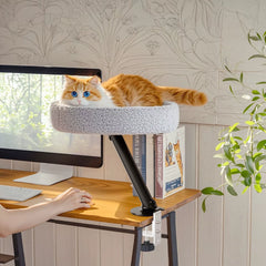 Office Desk Cat Hammock Climbing Frame Is Easy To Install Suspended Can Be Rotated