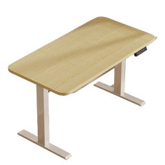 Homelements T423D 140*70cm Dual Motor Electric Motorised Standing Desk Height Adjust Table Upward Mounting(inclu T423D 140*70cm Dual Motors Electric Motorised Standing Desk Height Adjust Table Upward Mounting(including Small Cable Slot for Power Adapter)