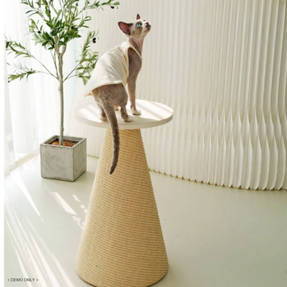 Homelements Cat Scratching Post with A Conical Sisal Design Imported and Durable Featuring A Round Top Platform