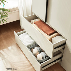 Linsay Stele 2-Door Wardrobe with Drawers