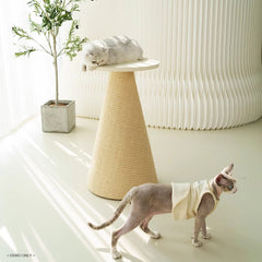 Homelements Cat Scratching Post with A Conical Sisal Design Imported and Durable Featuring A Round Top Platform