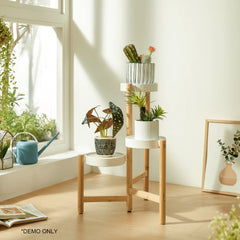 Linsay Grow Plant Stand