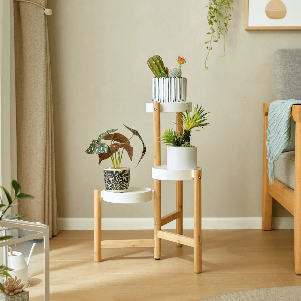 Linsay Grow Plant Stand