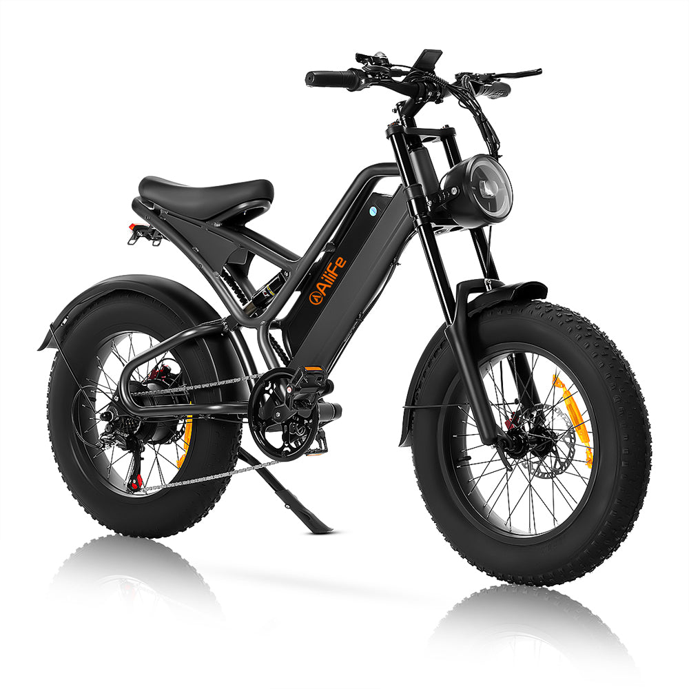 Sports studio  Snow Bike 20 Inch Electric Bike E-Bike Battery-X20B