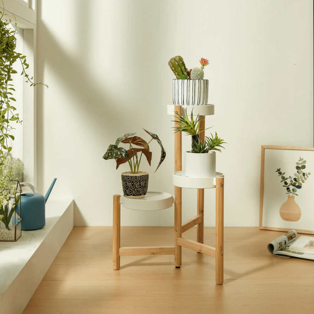 Linsay Grow Plant Stand