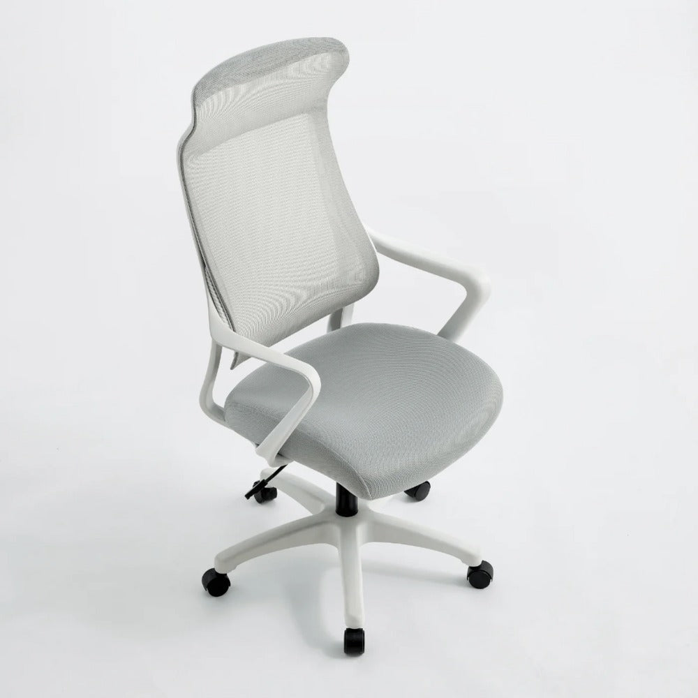 Linsay Lumina Ergonomic Office Chair