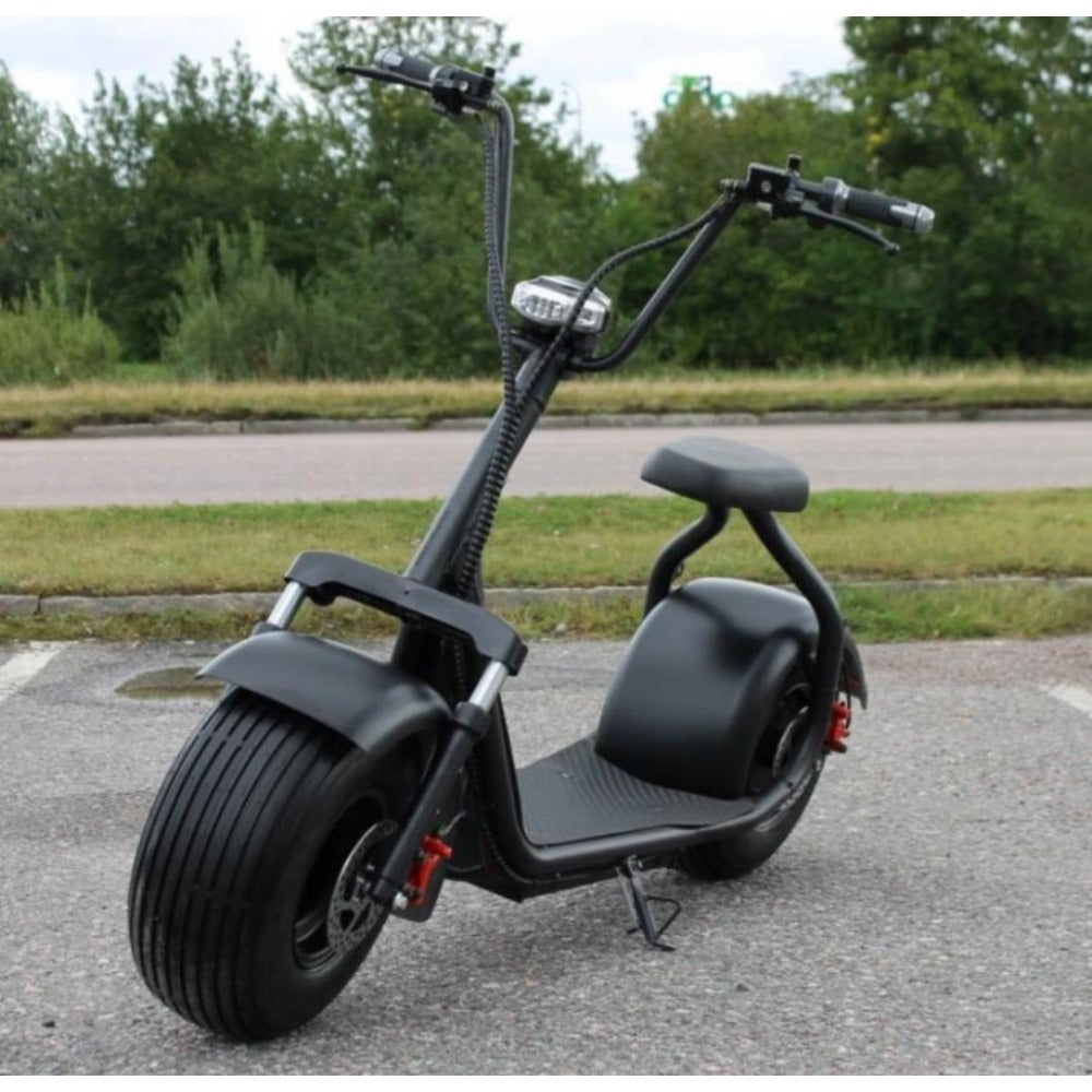 Sports Studio Harley Electric Scooter 1000W 60V 12A Lithium Battery C01