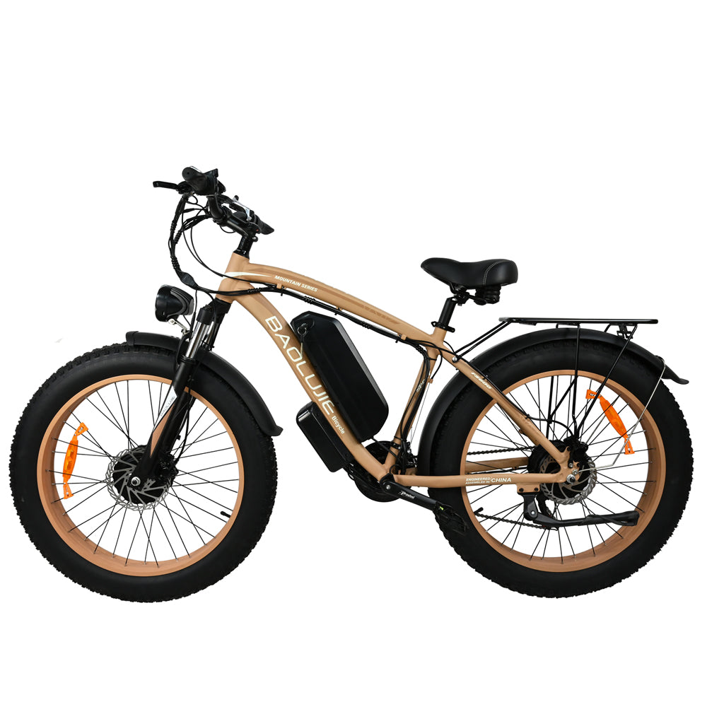 Sports studio  Electric bike Beach electric bike  mountain bike-DP2602