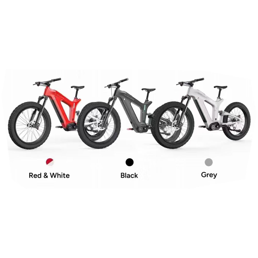 Sports studio Off-road Beach City Convenient Electric Bike Electric E-bike Battery-V1