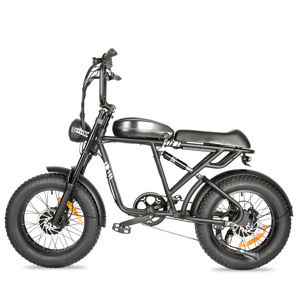 Sports studio  City Ease Snow Bike 20 Inch Electric Bike Electric Bike Battery-BLJ-2008