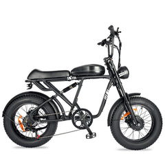 Sports studio  City Ease Snow Bike 20 Inch Electric Bike Electric Bike Battery-BLJ-2008