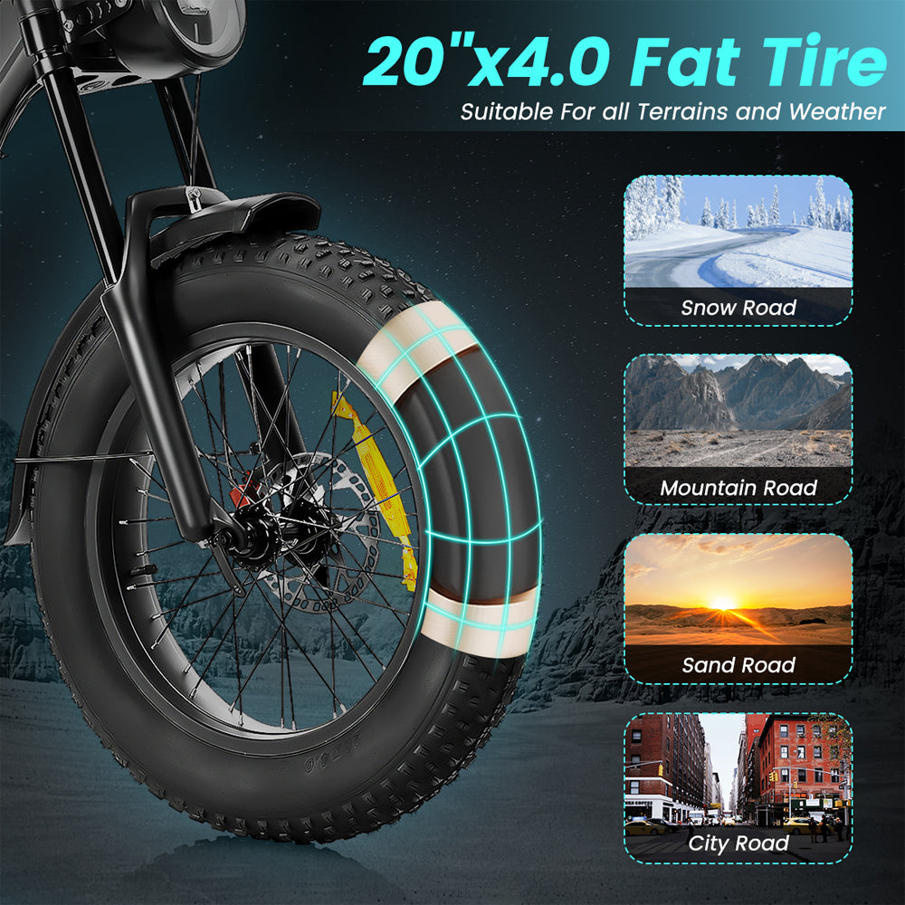 Sports studio  Snow Bike 20 Inch Electric Bike E-Bike Battery-X20B