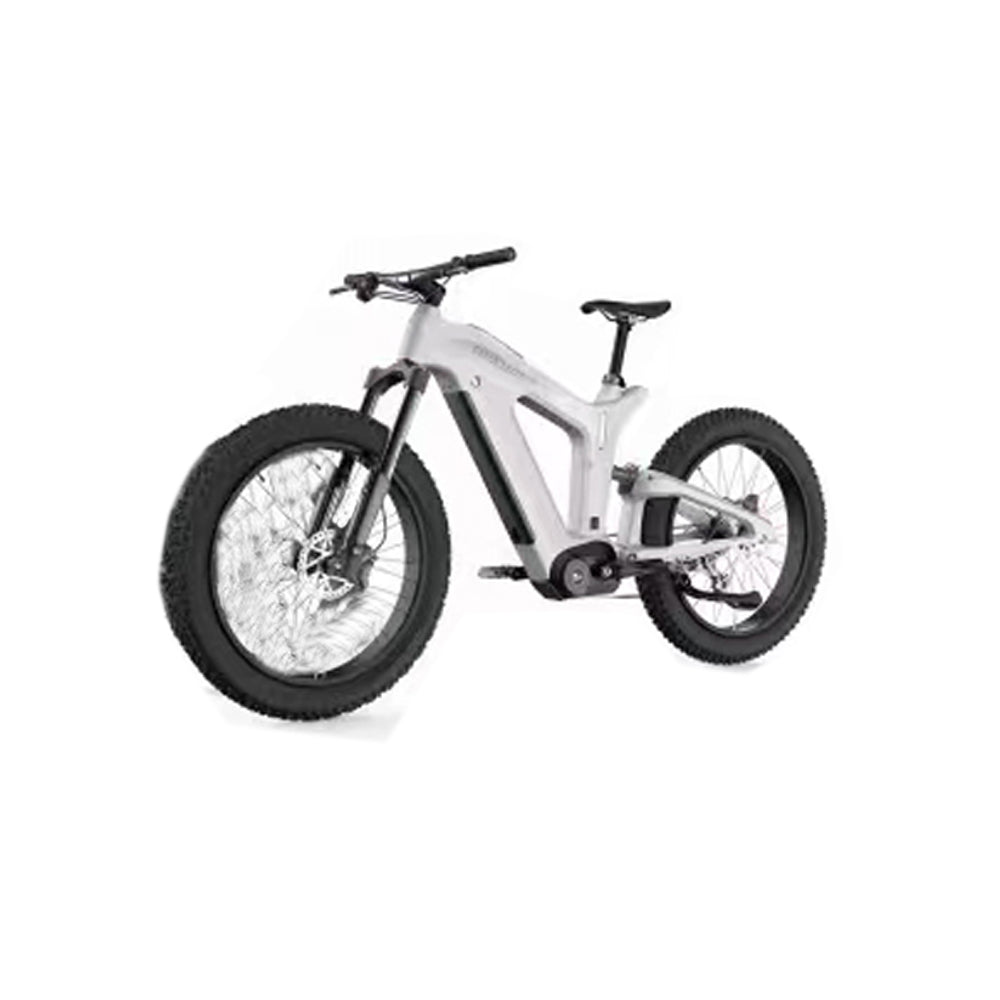 Sports studio Off-road Beach City Convenient Electric Bike Electric E-bike Battery-V1