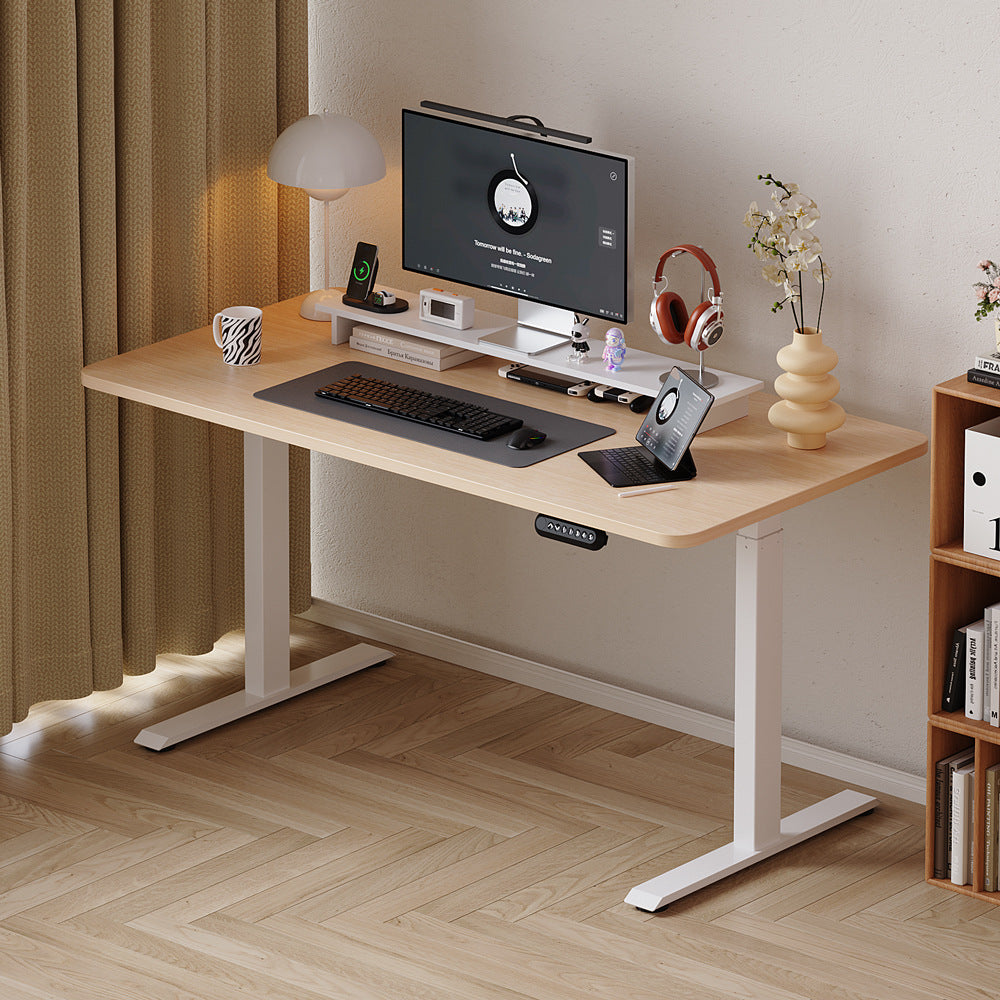 Homelements T524 Single Motor Electric Height Adjustable Desk